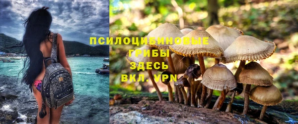 дмт Приозерск